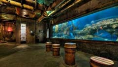 世界十大水族館排名，中國一家上榜！