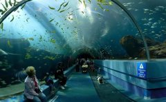 世界上最大的水族館排名，中國有兩處上榜