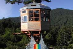 世界十大最美的樹屋，簡直就是世外桃源