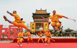 中國武術十大排名，少林功夫位居榜首