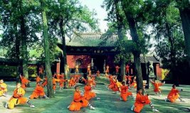 最流行的十大中國武術，少林功夫居榜首