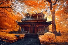 南京十大名山：棲霞山、紫金山名列榜首