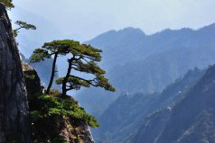 黃山市有什么好玩的景點(diǎn)？黃山市十大旅游景點(diǎn)排名