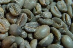 世界十大頂級咖啡豆排行榜：藍(lán)山咖啡排在第二名