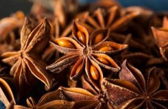 10種常見家常菜調(diào)味香料：花椒上榜，八角奪冠