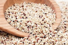減肥十大優(yōu)質(zhì)主食：藜麥、玉米上榜