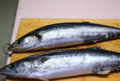 中國(guó)最常吃的十種海水魚：黃花魚第七，帶魚第四