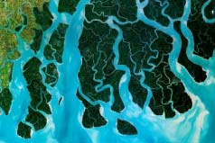 世界上最大的三角洲：恒河三角洲面積達6.5萬平方公里