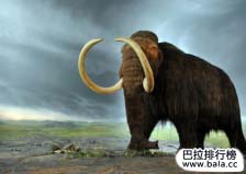 世界已滅絕的十大動物：渡渡鳥上榜，長毛象排首位