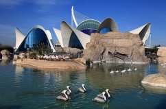 全球六個最大的水族館，真是夢幻的“水世界”