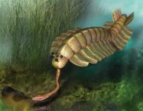 全球最恐怖四大遠古生物，游走鯨排在第二位