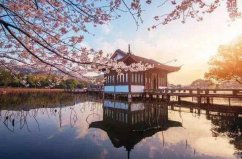 中國十大最適合踏春的城市，你去過哪座城市？