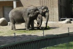全球10大最神奇的動(dòng)物園，中國(guó)入榜一個(gè)！