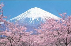 日本最美的自然風光：富士山奪冠，你去過幾個？