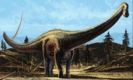 世界10大最大的恐龍，阿根廷龍身長約12米重100噸