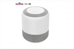 2022智能音箱十大品牌排行榜：百度第一，小米第二