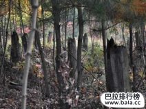 世界八大外星文明之謎，真有外星文明存在嗎？