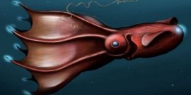 世界上最可怕的十大海怪，吸血魷魚(yú)、水熊蟲(chóng)均上榜