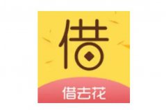 2022小額度1000元秒下款app：口袋花上榜，借去花居首