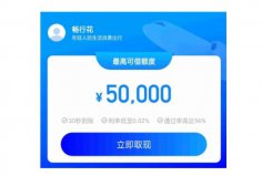 2022征信花負(fù)債高必過(guò)的網(wǎng)貸：暢行花、洋錢罐排前兩名