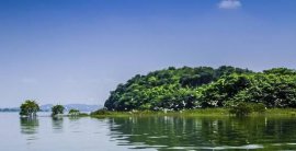 中國(guó)著名的五大湖泊，中國(guó)五大淡水湖排名