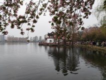 湖北著名湖泊有哪些？湖北十大湖泊排行榜