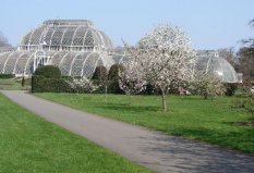 世界十大著名植物園排行榜，柏林植物園位居第九