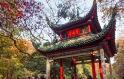 長沙必游的十大景點排行榜：天心閣上榜，你去過幾個？