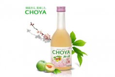 世界十大果酒品牌排名，CHOYA俏雅排第一名
