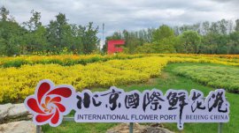 北京順義有什么旅游景點(diǎn)？北京順義旅游十大景點(diǎn)排名