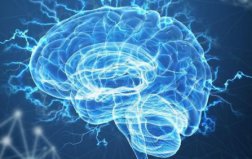 世界十大最難學科排行榜，神經(jīng)科學一舉奪冠，物理學無緣前五