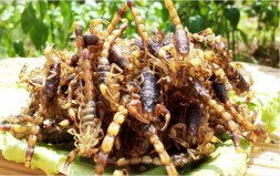 山東四大怪菜：烏魚(yú)蛋上榜，油炸蝎子位居第一寶座