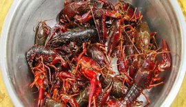 中國十大優(yōu)質(zhì)小龍蝦產(chǎn)地，中國小龍蝦哪里最出名