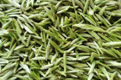 山東十大名茶排行榜，山東什么茶比較出名