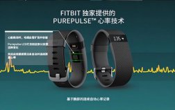 智能手環(huán)哪個(gè)品牌最好？智能手環(huán)排行榜前十名品牌