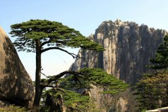 黃山值得去的十大旅游景點，去黃山不可錯過！