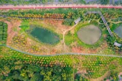 廣州值得去的公園有哪些？廣州10大必玩的公園推薦