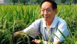 中國近代十大偉人：袁隆平、錢學(xué)森位居前兩名