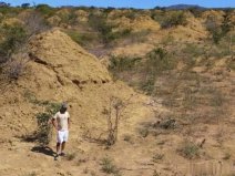 世界上最大的白蟻窩：有3800年歷史，面積堪比英國(guó)的國(guó)土