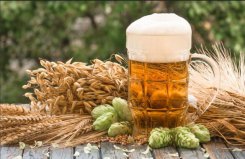 看球賽必吃的十大美食：啤酒、泡面、火鍋全部上榜
