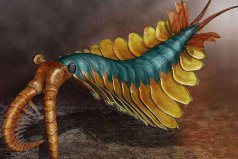 史前最恐怖的10種生物，奇蝦和怪誕蟲(chóng)位列榜首