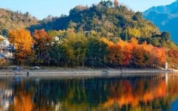 溫州市十大秋季旅游景點(diǎn)，溫州賞秋最佳去處