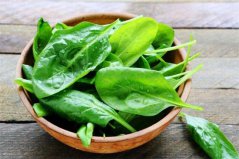 秋季適合播種什么蔬菜？十大適合秋天播種的蔬菜