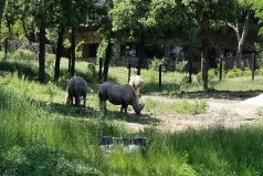 世界十大最佳動物園，世界最著名的動物園