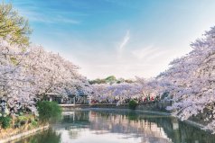 無(wú)錫有什么好玩的景點(diǎn)？無(wú)錫旅游必去十大景點(diǎn)