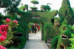 菏澤哪些旅游景點(diǎn)值得去？菏澤十大必去旅游景點(diǎn)