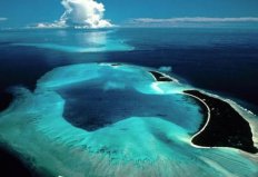 世界上無海岸線的大海，馬尾藻海透明度達66米