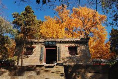 日照好玩的地方有哪些？山東日照旅游景點(diǎn)排行榜