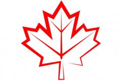 投影儀幕布十大品牌排行榜：極米排第二名，紅葉得第一名