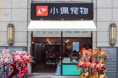 國(guó)內(nèi)十大寵物店連鎖品牌：派多格位居第二，小佩寵物名列第一